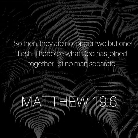 Matthew 19:6 NKJV Matthew 19 6, Bible Time, Bible Study Journal, Warrior Quotes, Prayer Journal, Stand By Me, Bible Study, Bible, Jesus