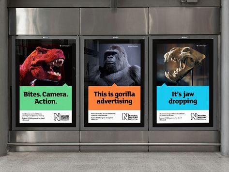 #ComeToLife 2019 by SomeOne for Natural History Museum Display Ad Design, Billboard Layout Design, Museum Social Media, Museum Advertising, Nature Poster Design, Museum Marketing, Nature Museum, Anniversary Logo, Display Ads