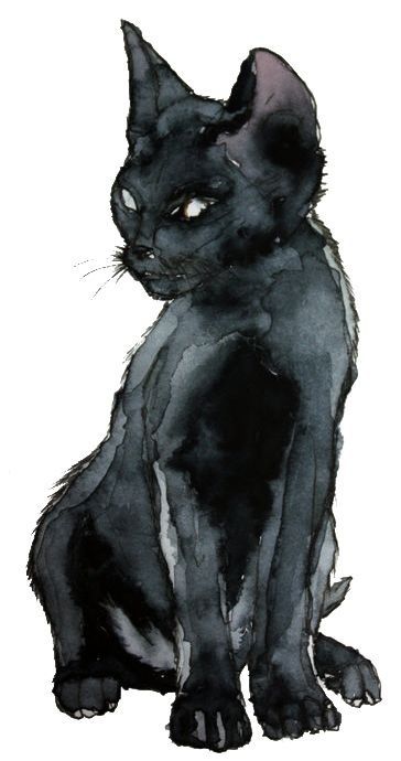 Dark one Halloween Kunst, Black Cat Art, A Black Cat, Watercolor Cat, Arte Animal, Black Cat Halloween, Drawing Tutorials, Cat Painting, Pusheen