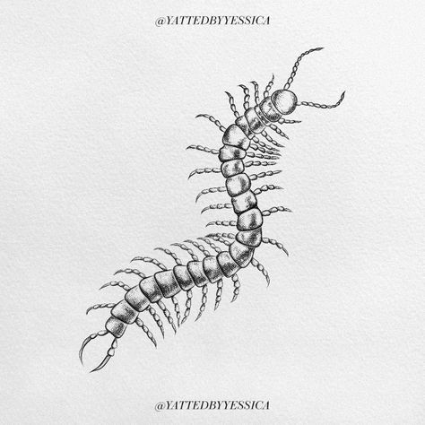 Kaneki Centipede Tattoo, Centipede Tattoo Design, Vet Study, Instagram Redesign, Centipede Tattoo, Insect Tattoo, Creepy Crawlies, Print Ideas, Ceramics Pottery Art