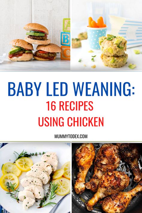 Chicken Blw Baby, Chicken Recipes For Baby Led Weaning, Blw Chicken Recipes, Baby Chicken Recipe, Chicken Recipes For Babies, Blw Chicken, Baby Led Weaning Chicken, Chicken For Babies, Blw Dinner