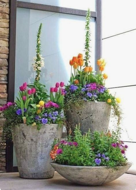 Taman Diy, Tanaman Pot, نباتات منزلية, Small Front Yard Landscaping, Container Garden Design, Small Front Yard, Desain Lanskap, Container Gardening Flowers, Cement Planters