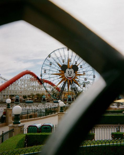 192. Pal-A-Round Guess the viewfinder on the disposable camera doesn’t exactly align with where the lens is pointed. When composing this image, I had the ferris wheel framed between the railing. Despite not nailing the positioning, I’m learning to accept the imperfections that come with film photography. 📸 & 🎞️: Fujifilm Quicksnap 🧪: Photoworks SF #filmphotography #fujifilm #fujifilmquicksnap #frameswithgeoff Fujifilm Quicksnap, Disposable Camera Photography, Camera Viewfinder, M Learning, Disposable Camera, Railing, Camera Photography, Film Photography, Ferris Wheel