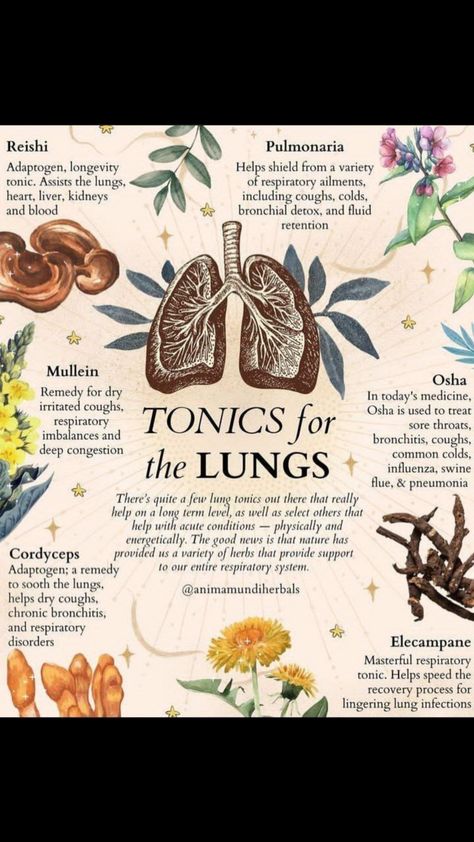 Lung Health, Medical Herbs, Magic Herbs, Lungs Health, Herbal Recipes, Natural Healing Remedies, Environmental Pollution, Herbal Healing, Herbal Magic