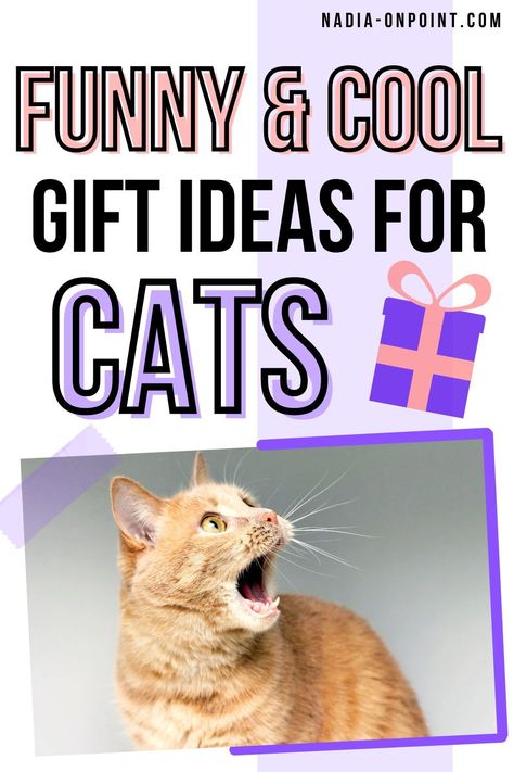 Trendy Gift Guides and Ideas! Do you know someone with a Cat? If so, here are some awesome and Trendy Gifts for Cats which Pet Lovers will adore! You will find funny and cute product Ideas for Cats and Kittens which will also be funny during Christmas. Gifts for people with Cats. #Pets #Pet #Petlovers #Cat #kitten #cute #funny Christmas Gifts For Animal Lovers, Pet Gift Basket, Gifts For Cats, Ideas For Cats, Colorful Hairstyles, Kitten Cute, Cool Gift Ideas, Gifts For Cat Lovers, Gift Guide For Him