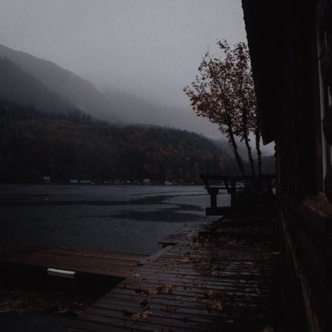 ︎ ︎ on Twitter: "gloomy. https://t.co/O9GNFfZjTl" / Twitter Dark Naturalism Aesthetic, Rainy Lake, Dark Weather, Green Academia, Dark Naturalism, Dark City, Gothic Aesthetic, Dark Places, Autumn Aesthetic