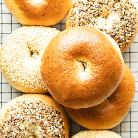 Sourdough Bagels With Yeast, Quick Sourdough Discard Bagels, Sourdough Bagels Recipe Discard, Sourdough Discard Bagels Easy, Discard Sourdough Bagels, Bread Machine Sour Dough, Sourdough Discard Bagels Recipe, Sourdough Bagels Recipe, Sourdough Discard Bagels