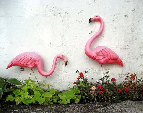 Flamingos + Wall + Flowers American Kitsch, Plastic Pink Flamingos, Yard Flamingos, Plastic Flamingo, Flamingo Craft, Flamingo Garden, Pink Christmas Decorations, Flamingo Art, Pink Bird