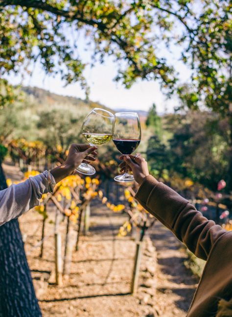 9 Places to Visit this Fall - Inspired by This Wineries Outfit, Wine Vineyards, Wine Photography, Gal Meets Glam, Wine Time, California Dreaming, Wine Tour, Italian Wine, Malbec