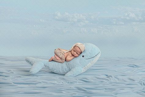 Digital Backdrop Whale In Ocean, Baby Boy Newborn Pictures, Create Digital Product, Nursery Baby Room, Backdrops Backgrounds, Ocean Water, Newborn Baby Girl, Newborn Photoshoot, Digital Backdrops