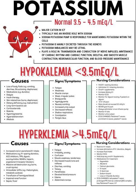 Potassium #nursingschool #nursingstudent #study  - Image Credits: NursingByStephanie Fluid And Electrolytes Nursing, Nclex Hacks, Electrolytes Nursing, Nurse Hacks, Emt Basic, Nursing Fundamentals, Nursing School Studying Cheat Sheets, Medical Terminology Study, Nursing Essentials