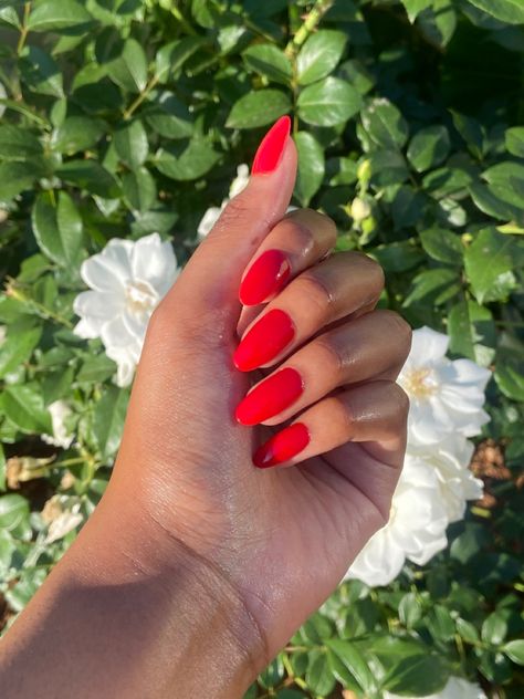 Summer Nails 2024 French, Vibrant Red Nails, Summer Red Nails 2024, Almond Red Acrylic Nails, Bright Red Almond Nails, Bright Almond Nails, Summer Vacay Nails, Summer Red Nails, Bright Nail Colors