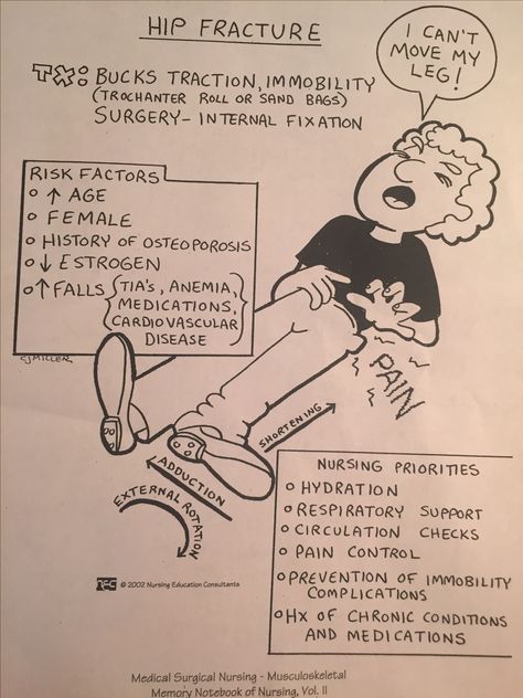 Musculoskeletal System, Medical Surgical Nursing, Hip Fracture, Signs and Symptoms, Risk Factors, Nursing Priorities Musculoskeletal System Nursing, Musculoskeletal Disorders Nursing, Musculoskeletal System Nursing Notes, Musculoskeletal System Notes, Fractures Nursing, Ems Mnemonics, Nursing Musculoskeletal, Musculoskeletal Nursing, Lpn School