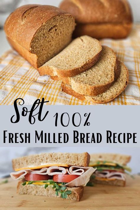 Soft 100% Fresh Milled Wheat Bread Recipe - Homemaker In Me Fresh Milled Flour Bread Machine Recipe, Fresh Milled Flour Bread Recipe, Wheat Flour Bread Recipe, Wheat Berry Recipes, Spelt Bread Recipe, Homemade Bread Loaf, Sourdough Sandwich Bread Recipe, Fresh Milled Flour, Spelt Recipes