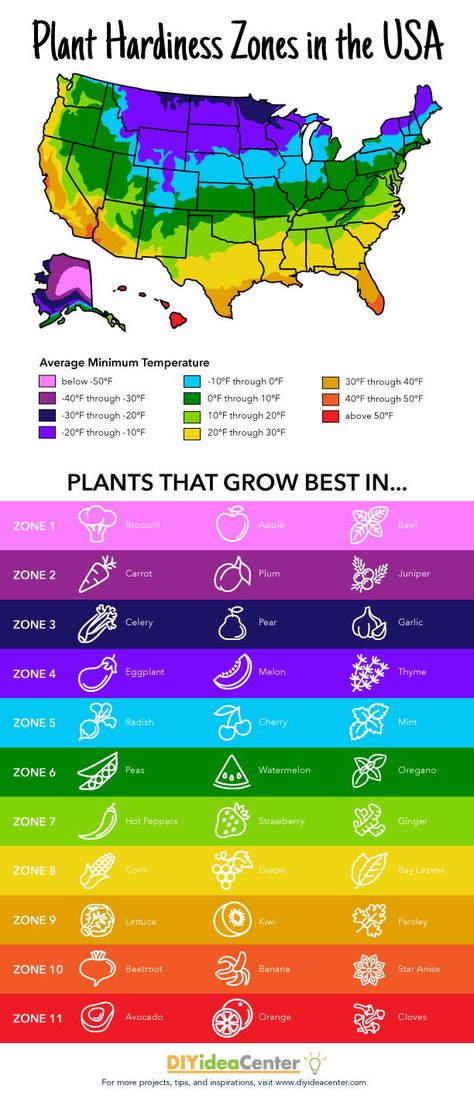 The Plant Hardiness Zones (Free Printable) is your guide to finding which plants do best in America. Follow the colored zones to select your plants. Planting Zones Map, Garden Zones, Front Yard Flowers, Plant Hardiness Zone Map, Plant Activities, Map Worksheets, Plant Zones, Gardening Zones, Spring Floral Arrangements