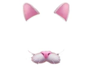 Cat Filter Png, Snapchat Filters Png, Snapchat Dog Filter, Cat Filter, Dog Filter, About Snapchat, Pink Images, Image Cat, Transparent Image