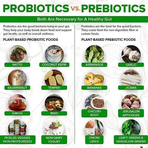 Plant Romance on Instagram: “What kinda of probiotics do you consume? 🧬 _  Your body works more optimally with a diverse array of beneficial bacteria living in your…” Probiotics Food, Benefits Infographic, Prebiotic Probiotic, Best Probiotic Foods, Probiotic Food, Natural Prebiotics, Probiotics Prebiotics, Prebiotic Foods, Best Probiotic