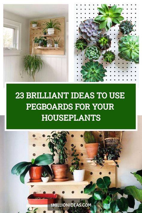 If you want to organize your plants in new ways and decorate your home with style, these Pegboard ideas today are for… Plant Pegboard, Peg Board Flower Wall, Peg Board With Plants, Pegboard Plants, Pothos Plant Wall Decor, Living Wall Diy, Peg Board Walls, Wall Baskets Eith Plants, Pegboard Ideas