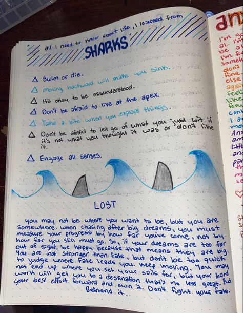 Sharks Aesthetic, Oceanography Marine Biology, Bullet Journal Mental Health, Biology Major, Shark Facts, Journal Inspiration Writing, Creating A Bullet Journal, Biology Facts, Aesthetic Journal