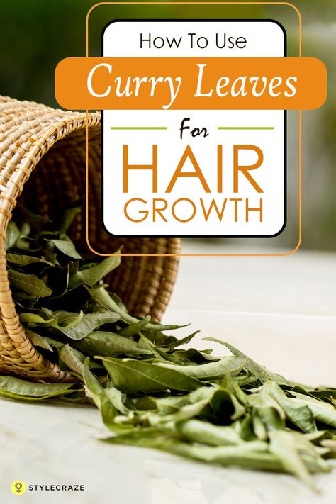 How To Use Curry Leaves For Hair Growth Curry Leaves For Hair Growth, Thick Hair Remedies, Hair Pack, Oily Scalp, Healthy Hair Tips, Coconut Oil Hair, Hair Tonic, For Hair Growth, Hair Remedies