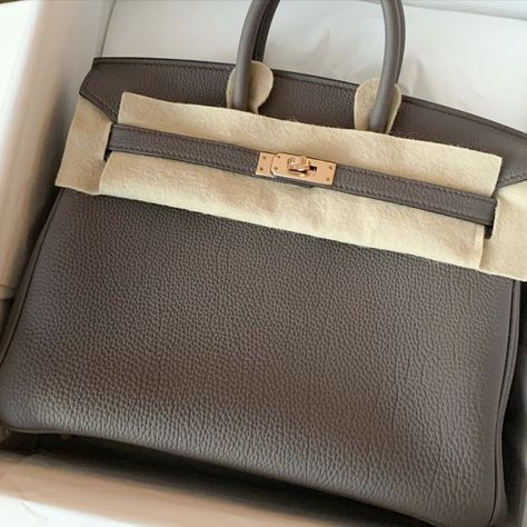 Birkin 25 Etain, Hermes Wishlist, Luxury Wishlist, Hermes Birkin 25, Grey Roses, Handbag Heaven, Fancy Bags, Birkin 25, Hermes Handbags