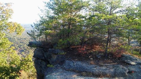 Berea Pinnacles - Indian Fort Mountain — Kentucky Hiker Berea Kentucky, Camping Gear List, Family Hiking, Park Trails, Hiking With Kids, Hiking Destinations, National Monuments, Get Outside, Nice View