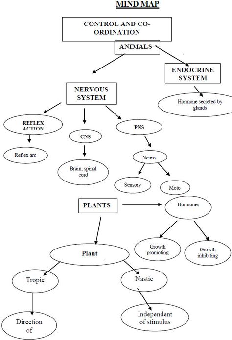 CONTROL AND COORDINATION Class 10 Science Notes Control And Coordination, Class 11 Biology Notes Neural Control And Coordination, Science 10 Notes, Control And Coordination Class 10 Notes, Class 10 Cbse Notes, Biology Notes Class 10, Class 10 Science Notes Biology, Control And Coordination Notes, 10th Boards