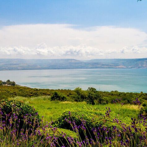 See the revered Christian highlights of Nazareth, Tiberias and the Sea of Galilee, including the miracle sites, on this private full-day trip from Jerusalem. With a private driver-guide, visit the holy churches of Nazareth, ride a boat on the Sea of Galilee, explore the relics at Capernaum, and see the church that marks Jesus’ feeding of the 5,000. Time at the holy baptismal site of Yarendit on the Jordan River, with the option to be baptized (own expense), rounds everything off. Enjoy in-depth Boat On The Sea, The Jordan River, The Sea Of Galilee, Nativity Church, Jordan River, Mount Of Olives, Sea Of Galilee, Dome Of The Rock, Water Into Wine