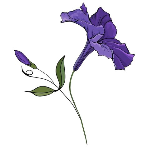 Purple petunia flower hand drawn illustr... | Premium Vector #Freepik #vector #flower-bloom #hand-drawn-flowers #blooming #flower Ruellia Tuberosa, Wave Petunias, Purple Petunias, Petunia Flower, Tattoos Inspo, Inspiration Images, Drawn Flowers, Life Crisis, Flowers Blooming