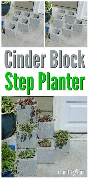 Cinder Blocks Diy, Front Porch Planters, Cinder Block Garden, Fence Planters, Cinder Blocks, Pallet Planter, Plants Growing, Cinder Block, Patio Landscaping