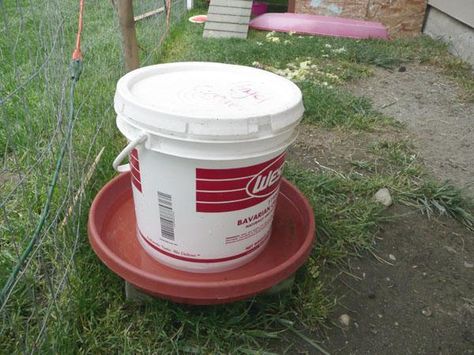 Tylermckees Homemade Chicken Feeder and Water Fountain | BackYard Chickens - Learn How to Raise Chickens Diy Chicken Waterer 5 Gallon Buckets, Homemade Chicken Waterer, Homemade Chicken Feeder, City Chickens, Chicken Waterer Diy, Chicken Backyard, Chicken Pens, Bird Feeder Stands, Chicken Feeder Diy