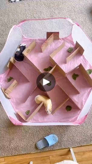 Guinea Pig Enrichment Ideas, Guinea Pig Toys Diy Homemade, Diy Guinea Pig Toys, Guine Pig, Guinea Pig Diy, Guinea Pig (toy), Guinea Pig Accessories, Pig Toys, Pig Crafts