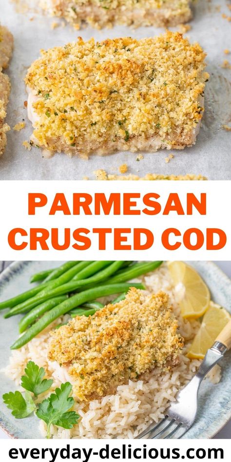 Parmesan Crusted Cod - Everyday Delicious Parmesan Crusted Cod, Parmesan Crusted Fish, Crusted Cod, Cod Fish Recipes, Meal Rotation, Trout Recipes, Butter Crust, Cod Recipes, Parmesan Crusted