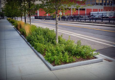 Innovation District, Downtown Okc, Streetscape Design, Pavement Design, Parking Building, Walkway Design, Landscape Architecture Drawing, Urban Design Plan, Street Trees