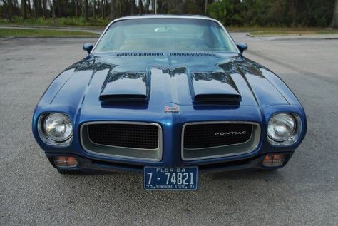 1970 Pontiac Firebird Formula 400 Front and Hood 1963 Chevy Impala, Firebird 400, Pontiac Firebird Formula, Car Stripes, Chevy Impala Ss, Firebird Formula, Pontiac Cars, Firebird Trans Am, Old Car