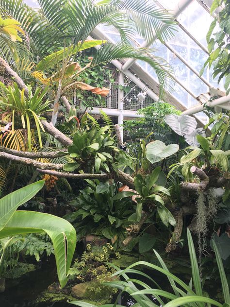 Cambridge Botanical Gardens, Science Museum, Green House, Nature Indoors, Glass House, Botanical Garden, Natural History, House Inspiration, Botany