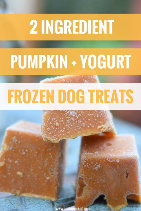 Yogurt Dog Treats, Pumpkin Yogurt, Homemade Dog Cookies, Easy Dog Treat Recipes, Frozen Dog Treats, Frozen Pumpkin, Dog Biscuit Recipes, Easy Dog Treats, Healthy Dog Treats Homemade