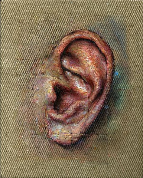 Jackie Taylor, Taylor Aesthetic, Ear Art, Oil Painting Inspiration, Irish Art, 인물 드로잉, Medical Science, Anatomy Art, A Tv