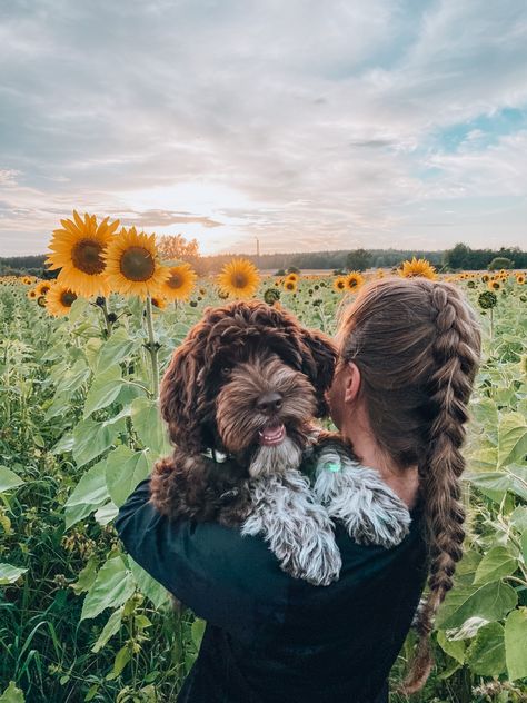 Sunflower Field Dog Photoshoot, Sunflower Field Photoshoot With Dog, Doggie Wallpaper, Barbet Dog, Sunflower Field Pictures, Fam Pics, Dream Photo, Yellow Wildflowers, Flower Photoshoot