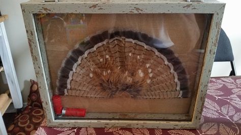 Grouse fan shadow box... beautiful for a turkey fan too!! Grouse Tail Fan Mount, Turkey Fan Mount Ideas, Turkey Fan Display, Antler Mount Ideas, Turkey Hunting Decor, Turkey Mounts, Grouse Hunting, Hunting Crafts, Ruffed Grouse