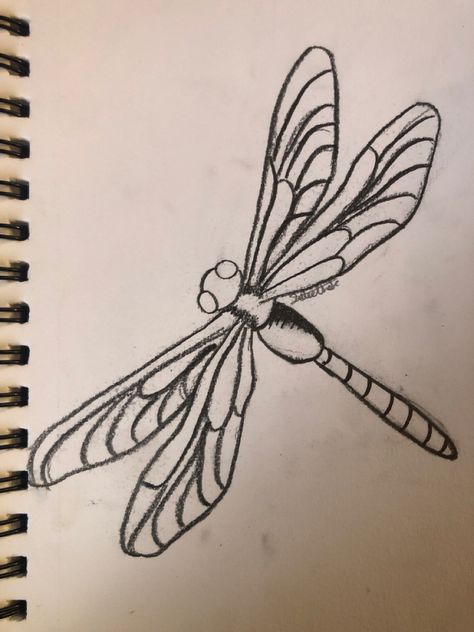 Dragonfly Pen Drawing, Dragon Fly Wings Drawing, Fly Wings Drawing, Dragon Fly Drawings, Dragon Fly Drawing, Dragon Fly Wings, Fly Wings, Dragonfly Drawing, Art Homework