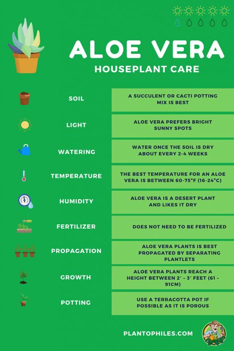 Aloe Vera Plant Care, Aloe Plant Care, Aloe Vera Care, Aloe Vera Benefits, Houseplant Care, Plant Care Houseplant, Aloe Vera Plant, Aloe Plant, Magic Garden