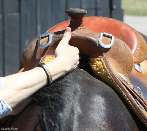 Horse Information, Winter Horse, Horse Care Tips, Saddle Fitting, Horse Riding Tips, Horse Training Tips, Animal Love, Western Horse Tack, Barrel Horse