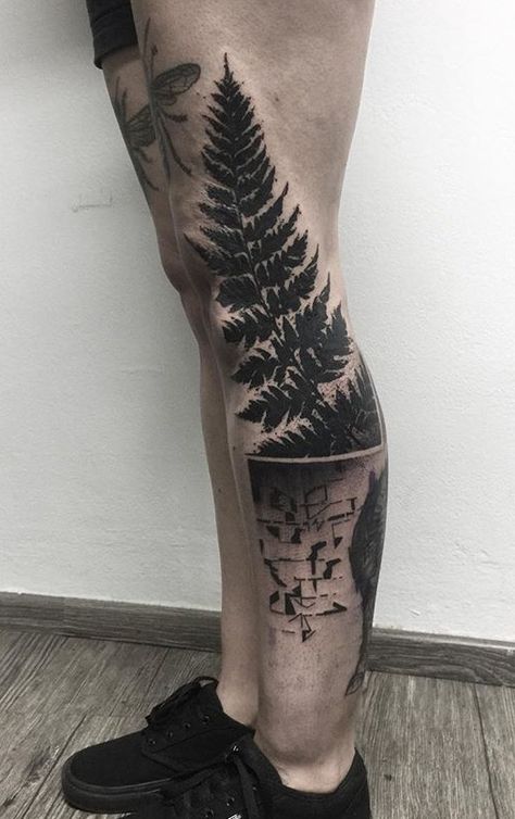 Marek Ripa fern tattoo Fern Tattoo, Kiwi Bird, Gorgeous Tattoos, Tattoos For Kids, Tattoo Placement, Rose Tattoos, Body Mods, Cute Tattoos, I Tattoo