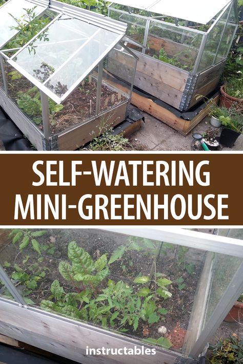 Set up a self-watering system for a set of mini greenhouses that fit on Euro pallets.  #Instructables #gardening #wicking #homestead #planter #woodworking #workshop Self Watering Greenhouse Diy, Self Watering Greenhouse, Automated Greenhouse, Inside Greenhouse Ideas, Greenhouse Watering System, Self Watering Garden, Greenhouse Watering, Diy Mini Greenhouse, Building A Greenhouse