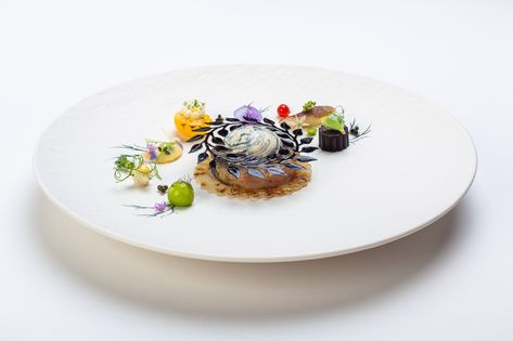 Plates and Platter made by Team Denmark, 3rd place at the Bocuse d'Or Europe 2020 #bocusedor #bocusedoreurope #roadtolyon Bocuse Dor, Fish Meal, Team Ideas, Food Plating, Fish Recipes, Food Art, Panna Cotta, Chef, Restaurant