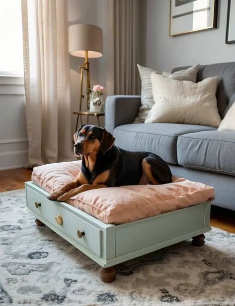 33 Ultimate DIY Dog Bed Ideas for Large Dogs Elevated Dog Beds For Large Dogs, Office Dog Bed, Dog Beds Made From Furniture, Ottoman Dog Bed, Diy Elevated Dog Bed, Creative Dog Bed, Dog Bed Ideas, Dogs Supplies, Raised Pet Bed