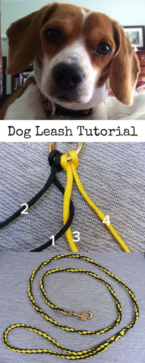 Diy Dog Leash, Dog Leash Diy, Braided Dog Leash, Boho Dog Collar, Dog Collars Girly, Dog Collar Pattern, Paracord Projects Diy, Paracord Dog Leash, Paracord Braids