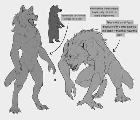 Werewolf Anatomy Design Reference, Pose Reference Werewolf, Werewolf Drawing Poses, Werewolf Body Reference, Werewolf Drawing Character Design, Werewolf Reference Pose, Werewolf Side View, Wolf Fur Pattern, Werewolf Poses Reference Drawing