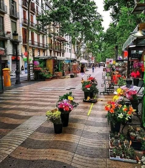 Best Destinations To Travel�� | Have a beautiful day | Facebook Barcelona Las Ramblas, Barcelona Spain Aesthetic, Las Ramblas Barcelona, Spain Aesthetics, Barcelona Aesthetic, Barcelona Street, Spain Aesthetic, Linear Park, Visit Barcelona